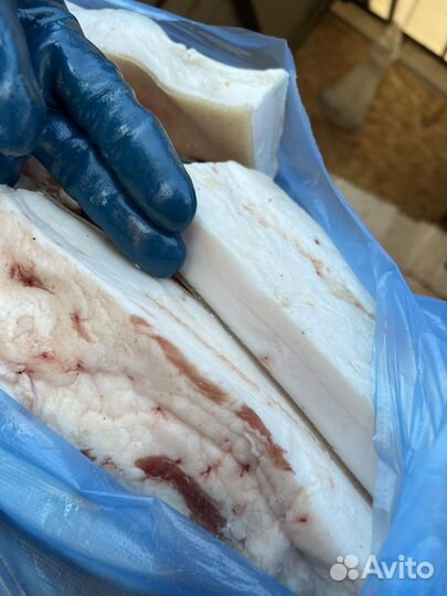 Сало свежее