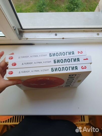 Биология грин стаут тейлор