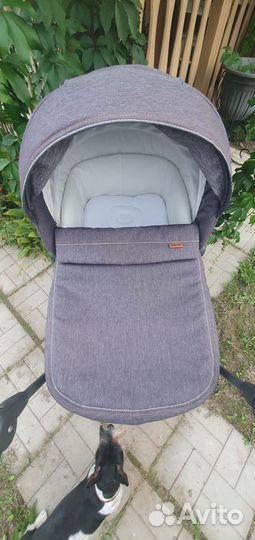 Коляска люлька Inglesina sofia comfort