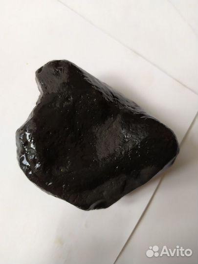 Окаменелость Брахиопод