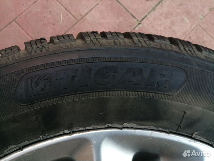 Tigar Ice 215/60 R17 100