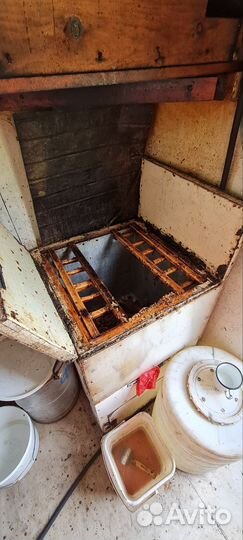 Мед разнотравье