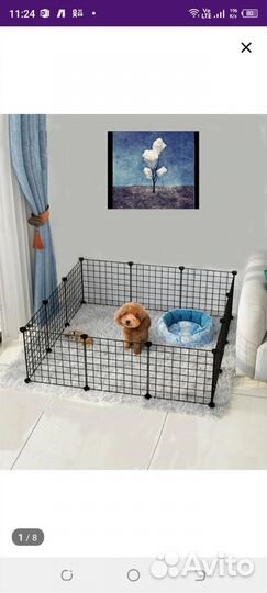 Вольер для собак,новый