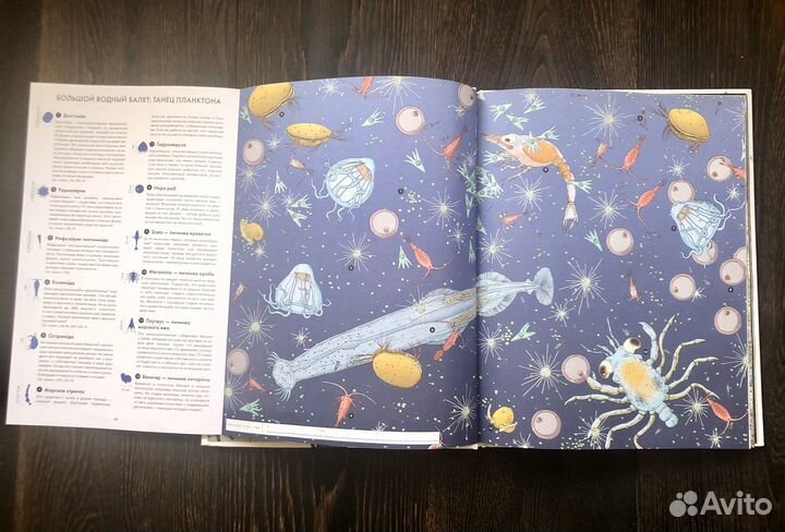 Живой мир под микроскопом, большой формат