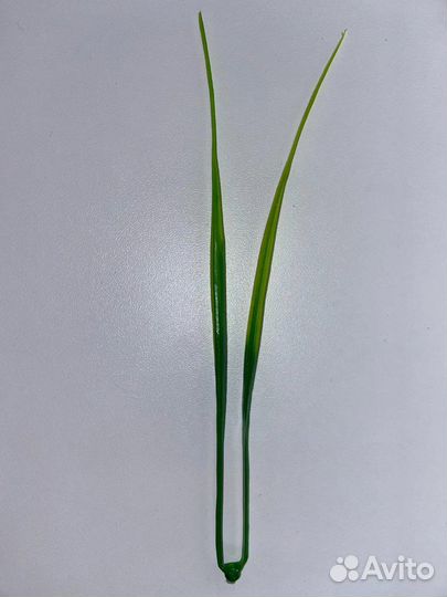 Искусственные ветки ель осока лаванда