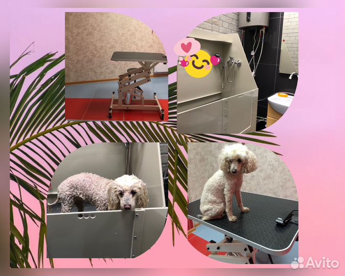 Груминг, стрижка собак (Пэт-стрижка)