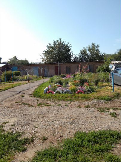 2-к. квартира, 33,8 м², 1/2 эт.