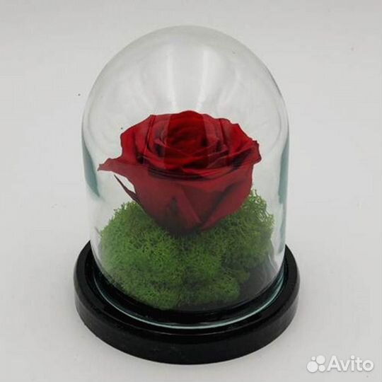 Роза в колбе. Любые размеры