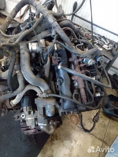 Авто разбор ford transit