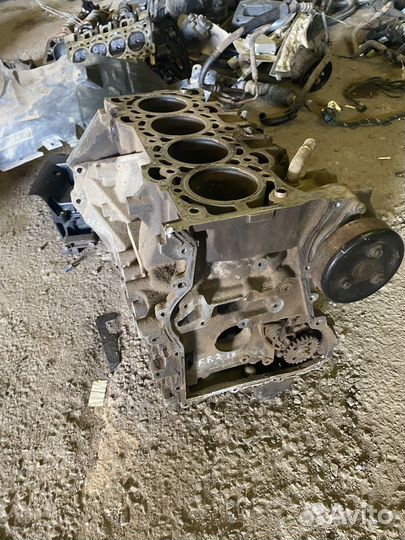 Блок цилиндров для Ford Focus 2 qqdb