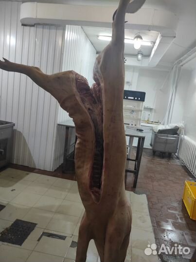 Свинина не жирная полутуши охлажденная с доставкой