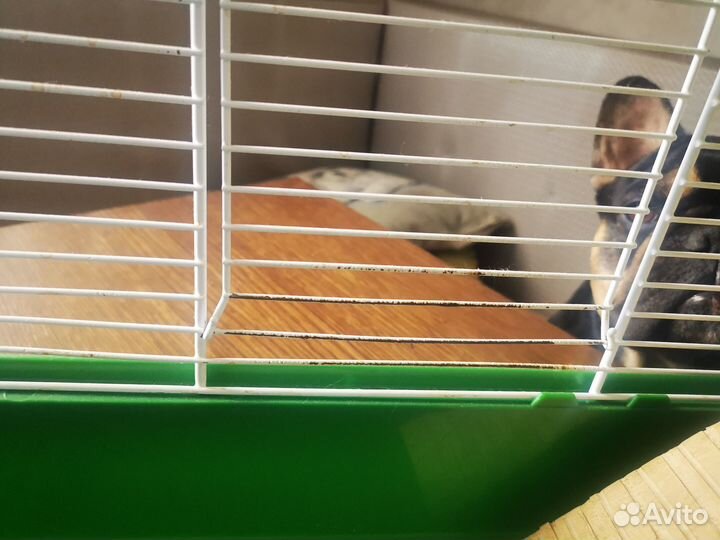 Клетка для грызунов ferplast