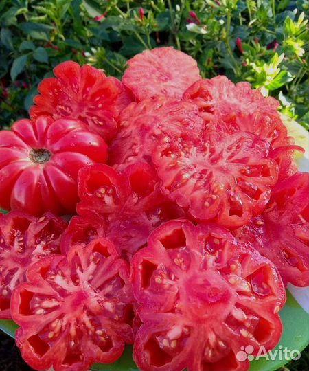 Семена томатов 3 (топ самых вкусных)