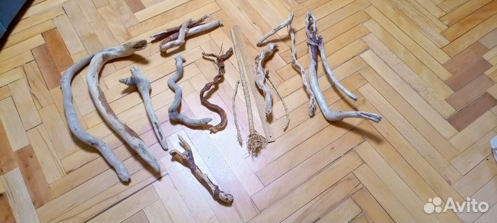 Коряги дрифтвуд