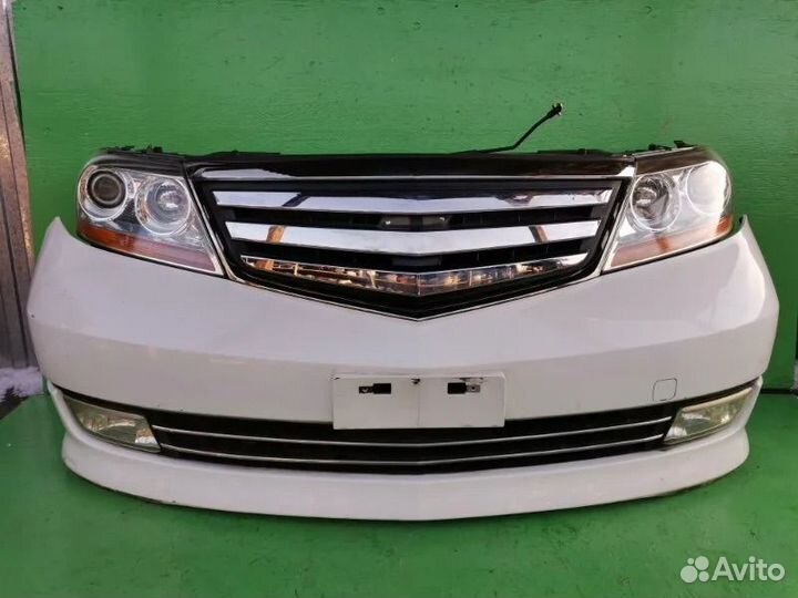 Honda Elysion Ноускат