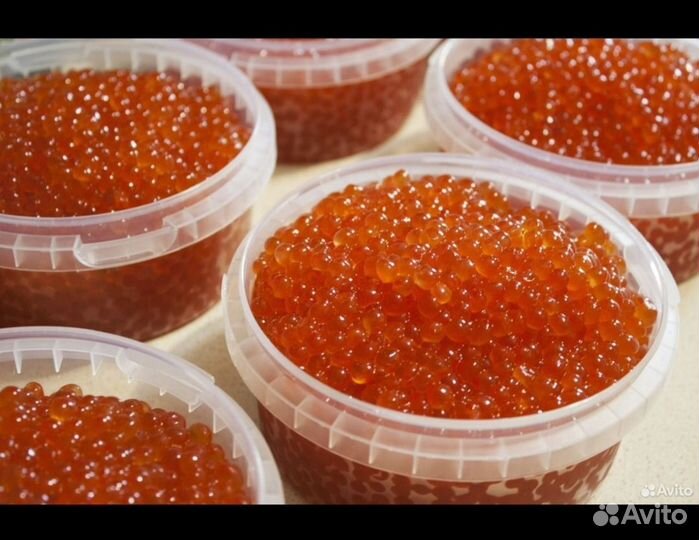 Красная икра топ качество 2023 кета