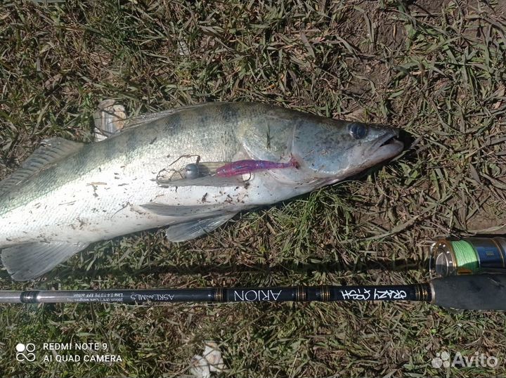 Рыбалка с гидом на реке Дон