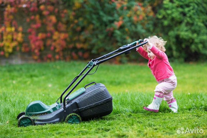 Газон под ключ