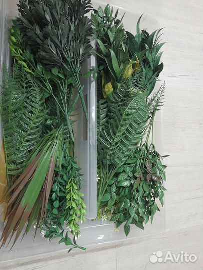 Декоративная зелень