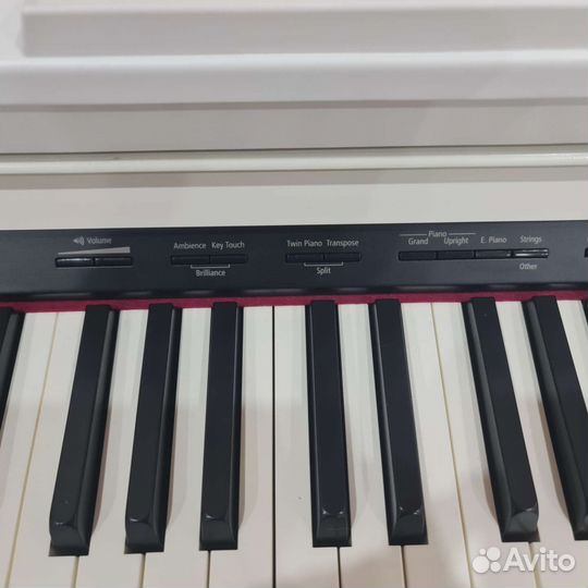 Цифровое пианино roland HP504