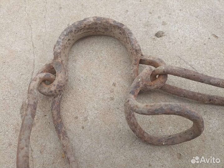 Кондалы Человеческие