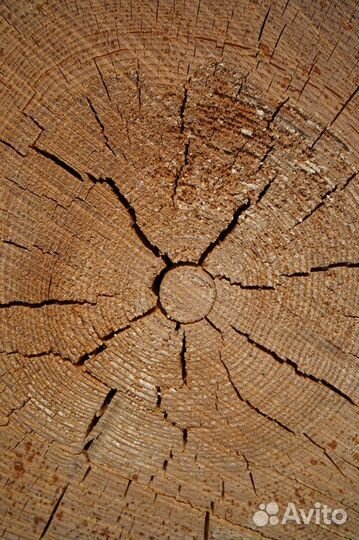 Планкен прямой от производителя