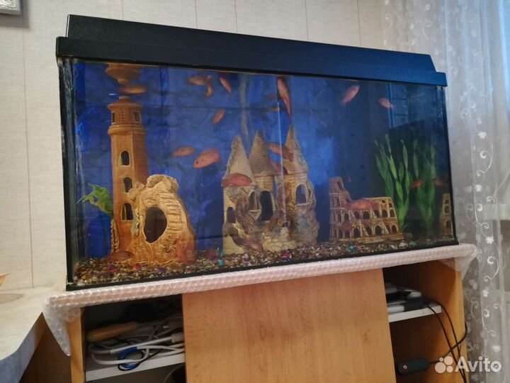 Аквариумы с оборудованием. Декорациями и рыбками