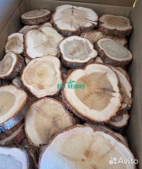 Спилы можжевельника шлифованные 1 кв.м