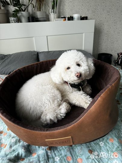 Лежанка для животных