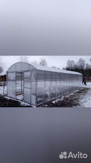 Теплица Прямостенная