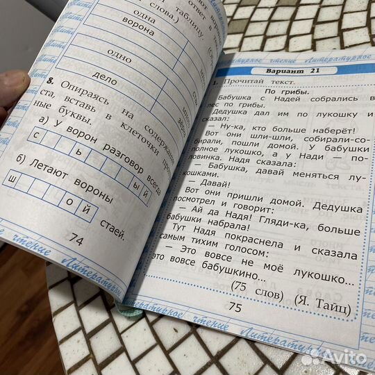 Чтение и работа с текстом 1 класс фгос