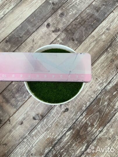 Заготовка основа творчество флористика