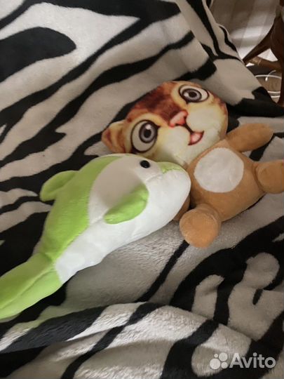 Машинка игрушка плюшевая игрушка дельфин кот