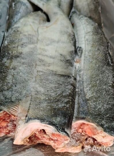 Кета пбг 1 сорт блочной заморозки мешок 22кг