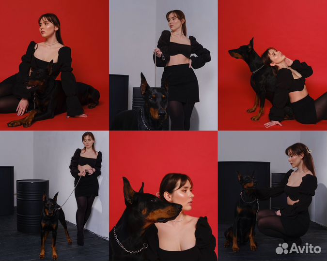 Фотосессия с доберманом