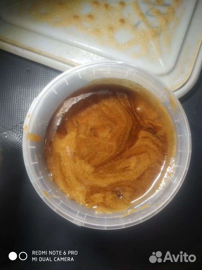 Мед темный разнотравье Горный Алтай июнь 2022 год