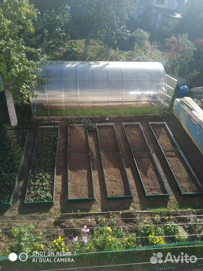 Грядки в теплицу и парник