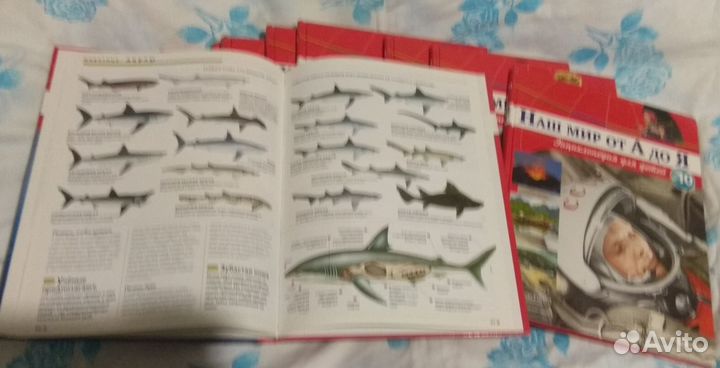 Энциклопедия для детей