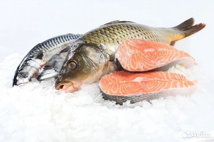 Продается прибыльный магазин рыбы и морепродуктов
