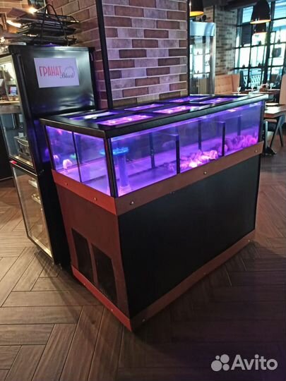 Морской аквариум