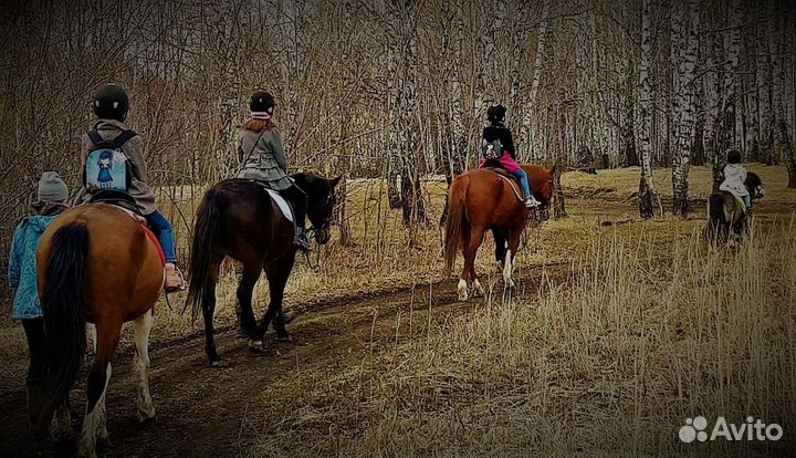 Обучение с нуля