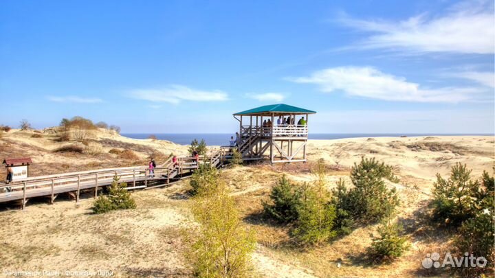 Куршская коса с посещением орнитологической станци