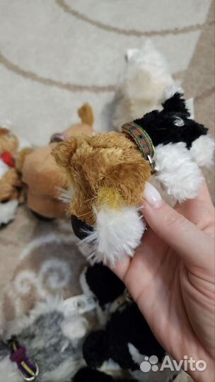 Собачки The Dog collection