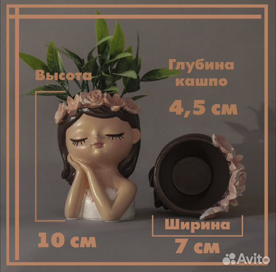 Кашпо для суккулентов. Горшок для цветов