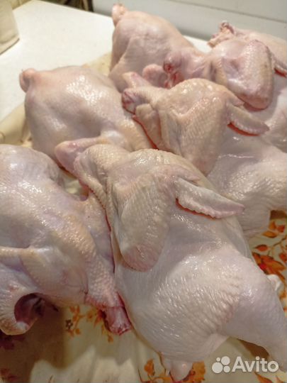 Мясо домашней птицы