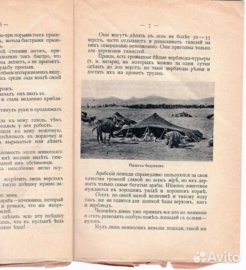 Детская литература