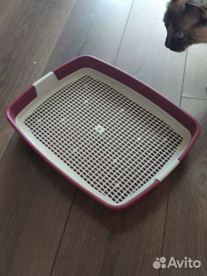 Лоток для кошек новый