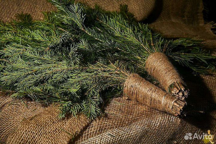 Пихтовые веники