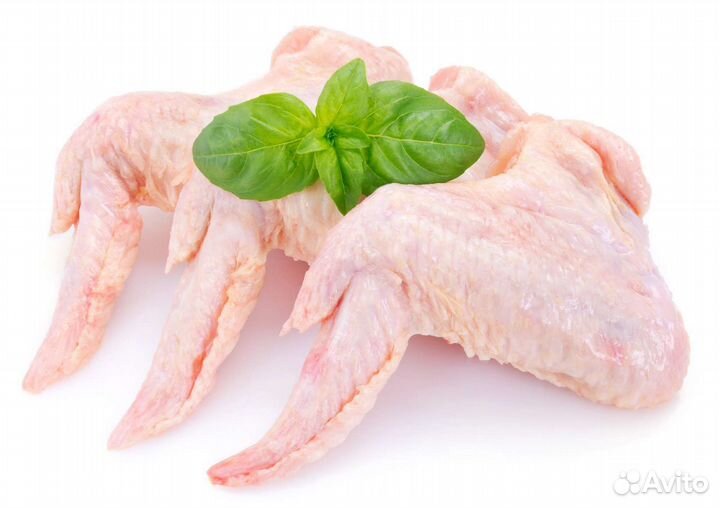 Куриные крылья оптом розница