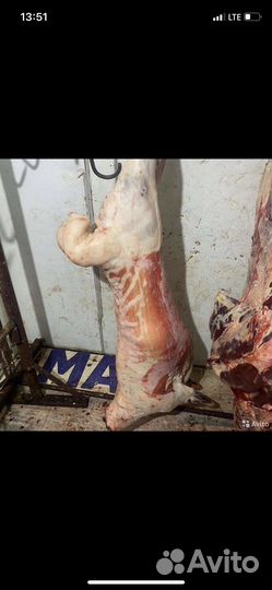 Мясо говядина халяль,баранина,жир. Халялное